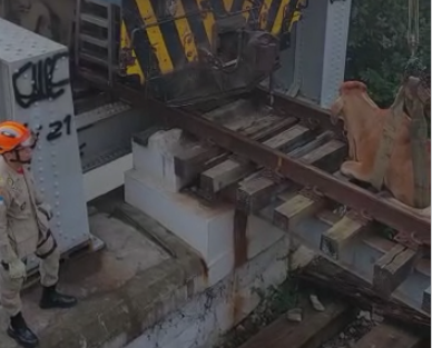 Animal ficou com uma das patas presa no vão entre os dormentes da linha do trem