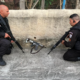 Polícia Militar realiza operação na Vila Kennedy