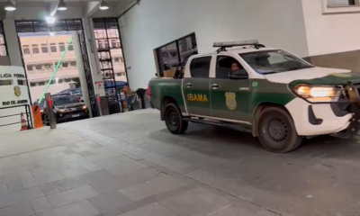 Polícia Federal realiza operação contra uso irregular de animais em espetáculos