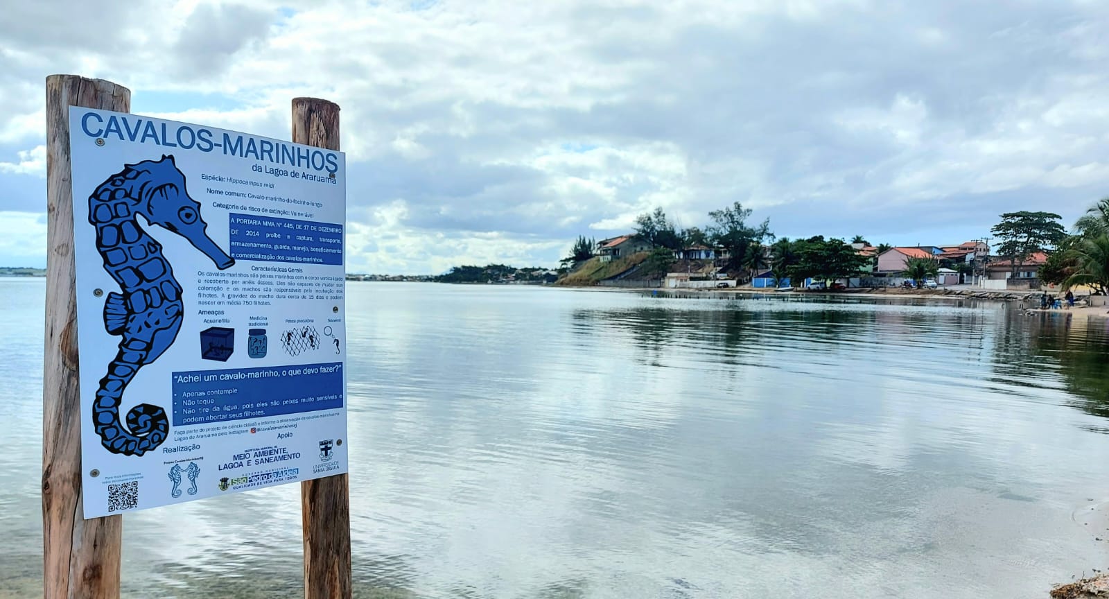 Dia Mundial do Meio Ambiente