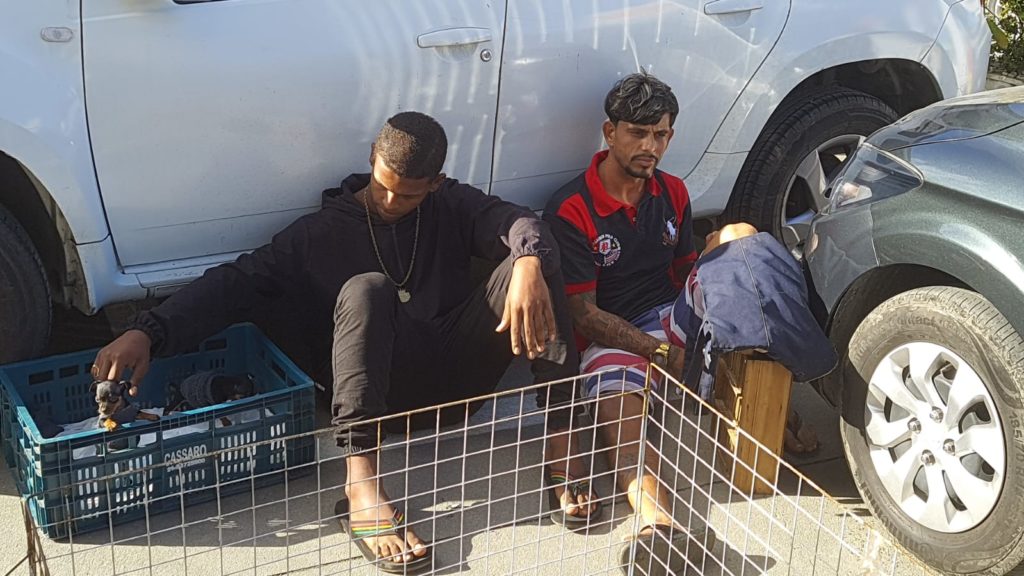 Homens presos em operação ambiental