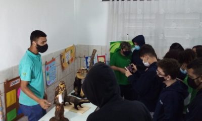 Ação Escola Petrópolis
