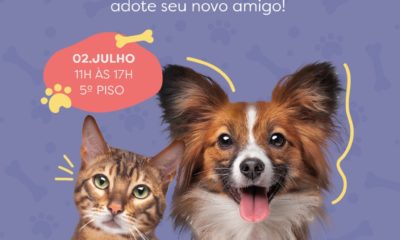 Sábado é dia de feira de adoção de animais no Botafogo Praia Shopping (Foto: Divulgação)