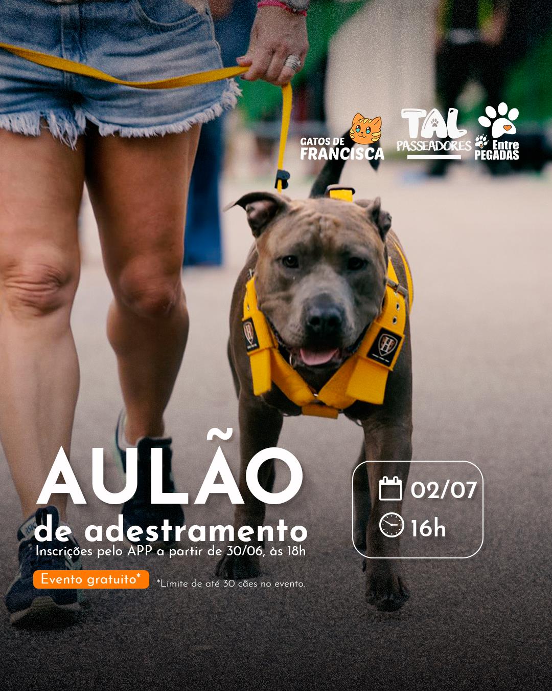 Shopping Boulevard reinaugura 'Pet Park' com encontro gratuito de adestramento e feira de adoção de cães e gatos (Foto: Divulgação)