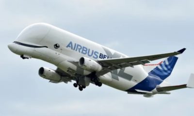 Airbus Beluga conhecido por ter forma de baleia