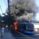 fogo no brt