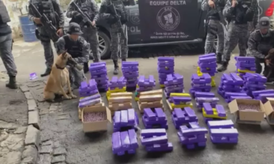 Polícia apreende cerca de 300kg de maconha em operação na Nova Holanda, Zona Norte do Rio