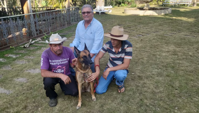 Cadela usada por homem durante assaltos no Rio ganha novo lar