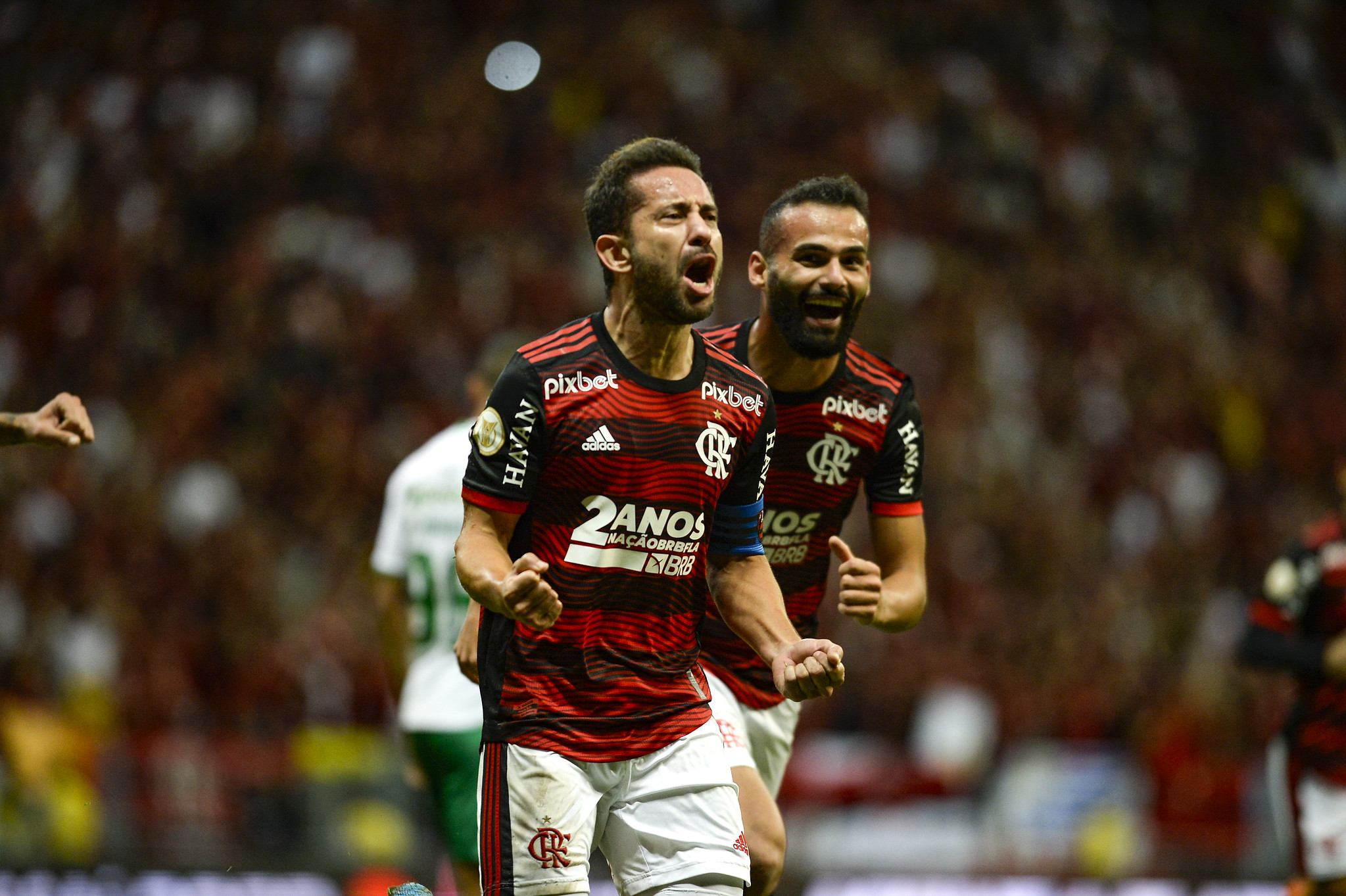 Everton Ribeiro