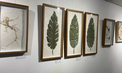 Esculturas em papel dão vida a exposição 'Sementes' na Sala Djanira, no Espaço Cultural da Ceperj