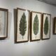 Esculturas em papel dão vida a exposição 'Sementes' na Sala Djanira, no Espaço Cultural da Ceperj