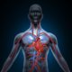 Aneurisma de aorta: uma doença duplamente silenciosa
