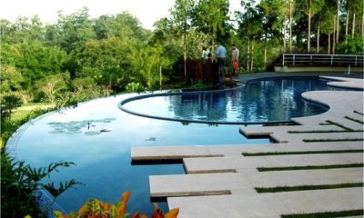 Workshop 'Um Jardim para sempre' chega pela 1º vez em Niterói, na Região Metropolitana