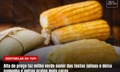 Alta no preço do milho verde faz produto sumir das festas julinas e deixa derivados mais caros