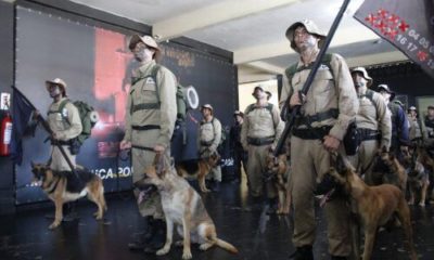 guardas municipais realizam curso de adestramento de cães