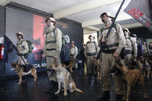 guardas municipais realizam curso de adestramento de cães