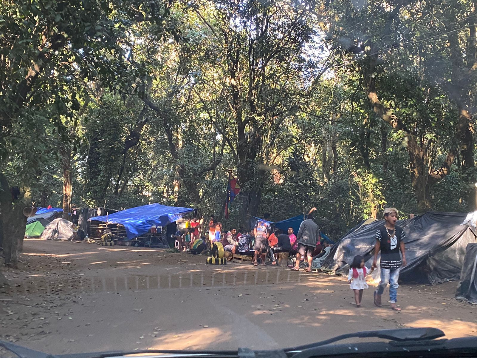 Inea denuncia ocupação irregular em área de proteção ambiental na Costa Verde do estado