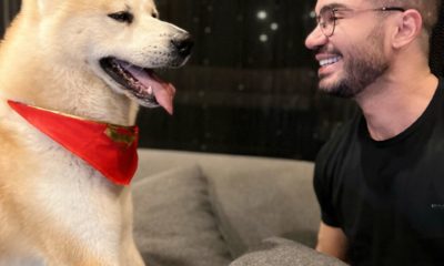 Brasileiro em parceria com Warner, lança produtos para pets junto com animação 'DC Liga dos SuperPets'