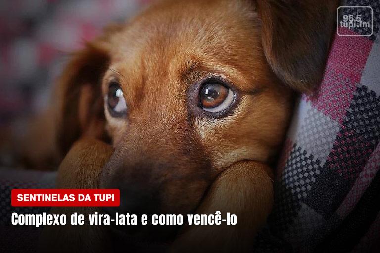 Sentinelas da Tupi Especial Dia do Vira-lata