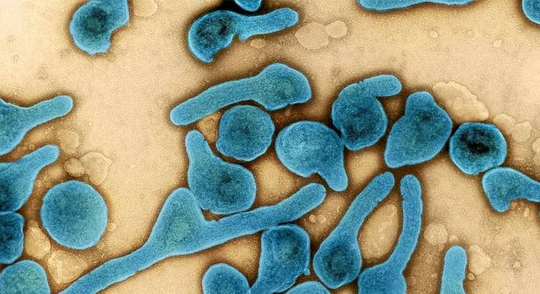 Vírus Marburg é confirmado em Gana