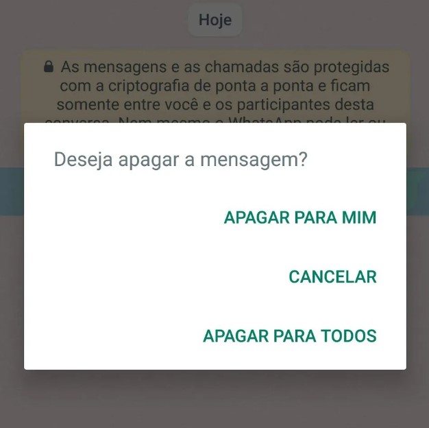 Apagar mensagens no WhatsApp