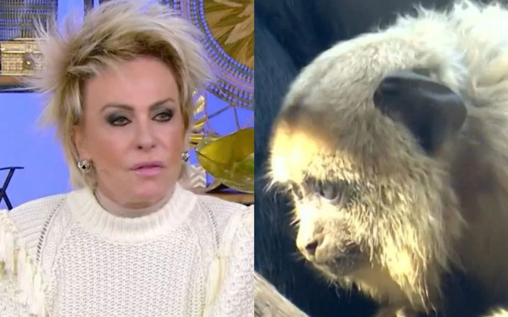 Ana Maria Braga se choca ao ver vídeo de macaco após discursar contra racismo