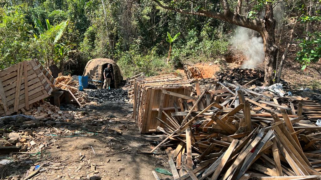 SEAS e Inea realizam operação para combater carvoaria clandestina em área protegida de Caxias