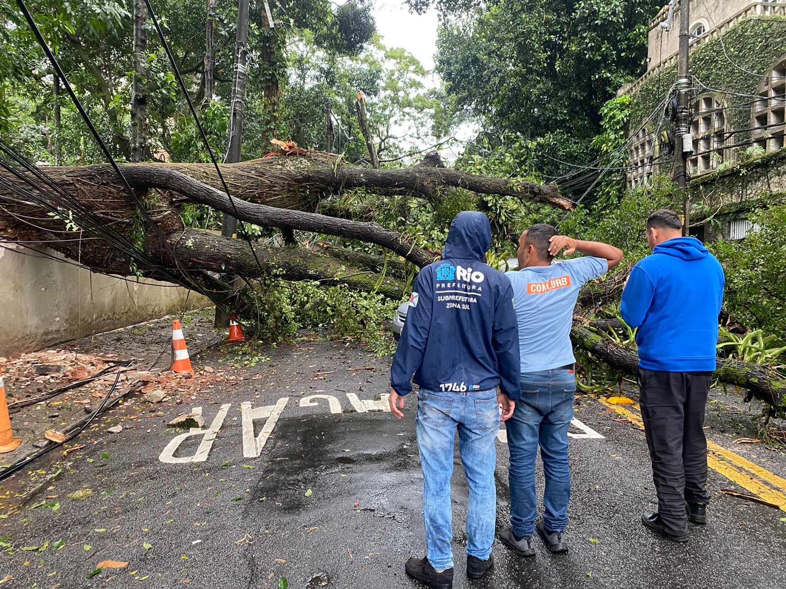Subprefeitura da Zona Sul realiza ação para remoção de árvore caída na Gávea