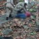 Mulher morre atingida por galho de árvore na cabeça na Ilha do Governador
