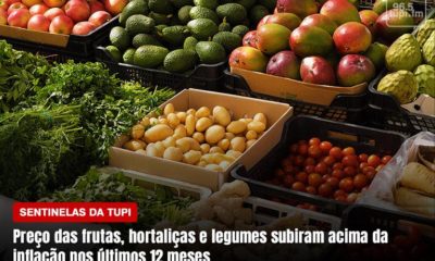Frutas, hortaliças e legumes superaram a inflação nos últimos 12 meses Sentinelas da Tupi Especial