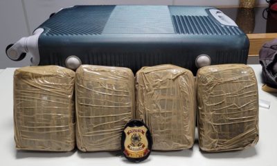 maconha apreendida pela PF