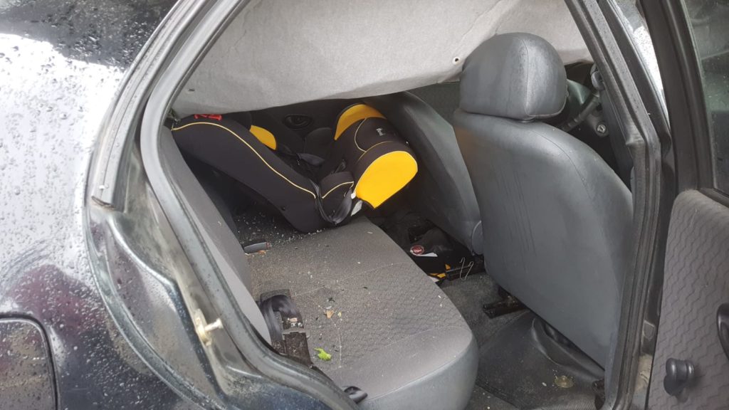 Carro é atingido por árvore