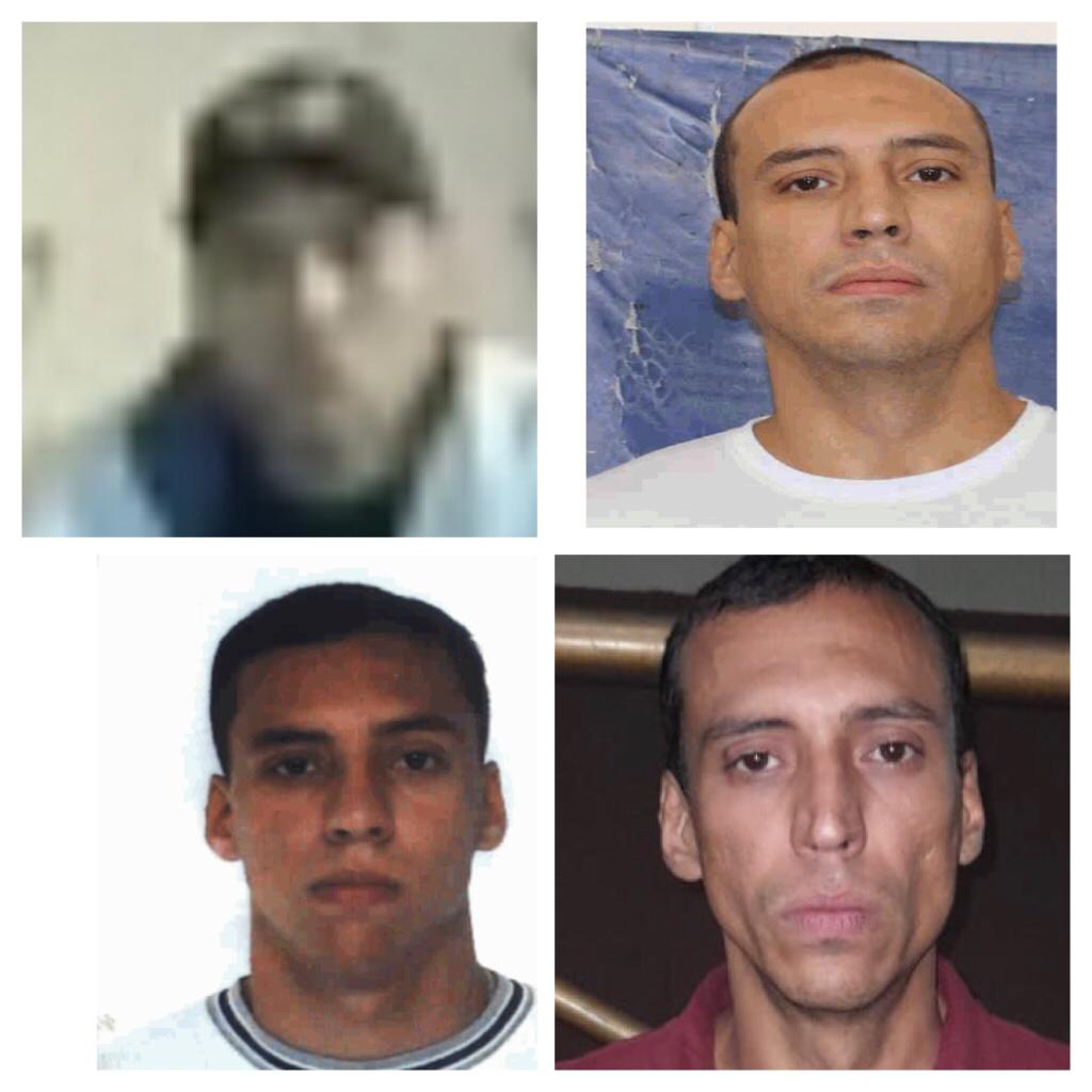 criminoso que assalta na ilha do governador