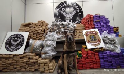 carregamento de drogas apreendido na Rodovia Presidente Dutra