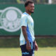 O jogador Jailson, da SE Palmeiras, durante treinamento, na Academia de Futebol. (Foto: Cesar Greco)