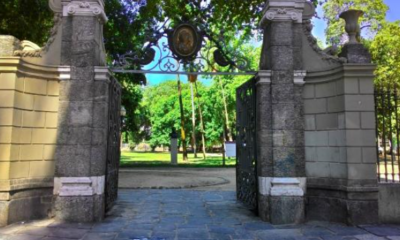 Homem surta e mata animal silvestre no Centro do Rio