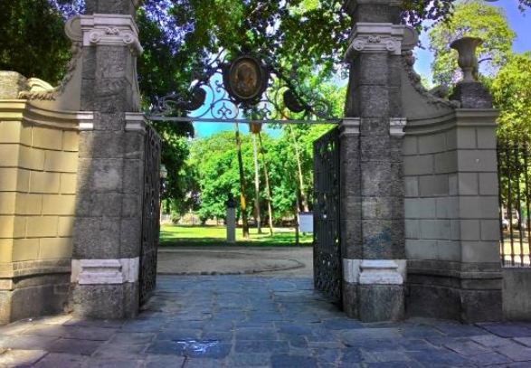 Homem surta e mata animal silvestre no Centro do Rio