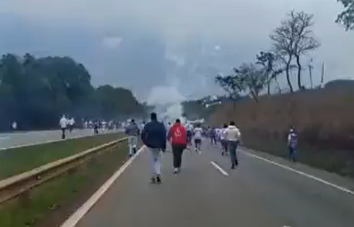 torcidas organizadas cruzeiro x palmeiras