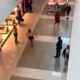 Segurança do Shopping Metropolitano Barra é vítima de racismo (