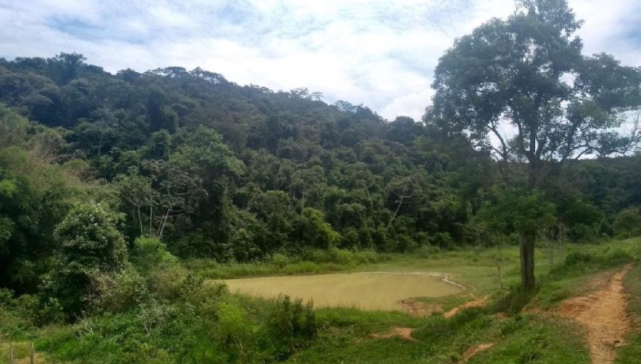 Inea reconhece em caráter definitivo 3 RPPNs localizadas na Região Serrana e no Noroeste Fluminense