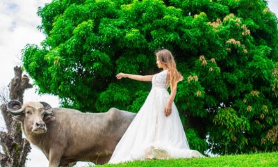 Estilista Ivana Beaumond lança editorial de noiva na Ilha do Marajó