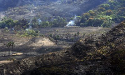 Continuidade do ritmo de emissões de carbono pelo Brasil pode ameaçar Acordo de Paris