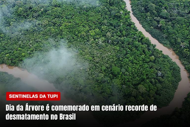 No Dia da Árvore, Brasil tem pouco a comemorar diante do recorde de desmatamento no país