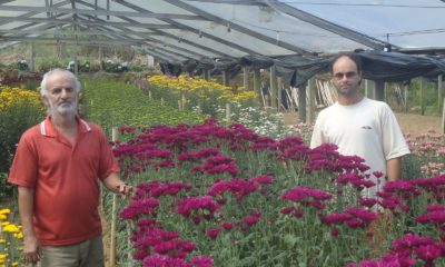 Chegada da Primavera gera expectativa no aumento na venda de flores