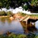 ponte desaba amazonas