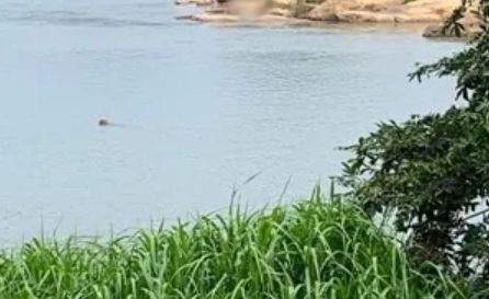 Corpo de adolescente desaparecido no Rio Paraíba do Sul em Cambuci é encontrado