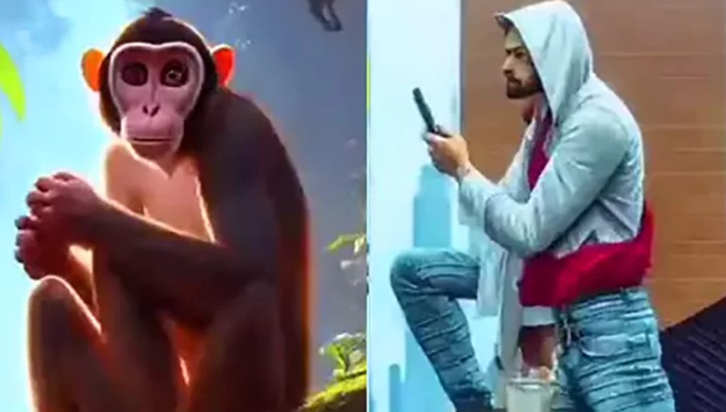 Vídeo mostra evolução humana