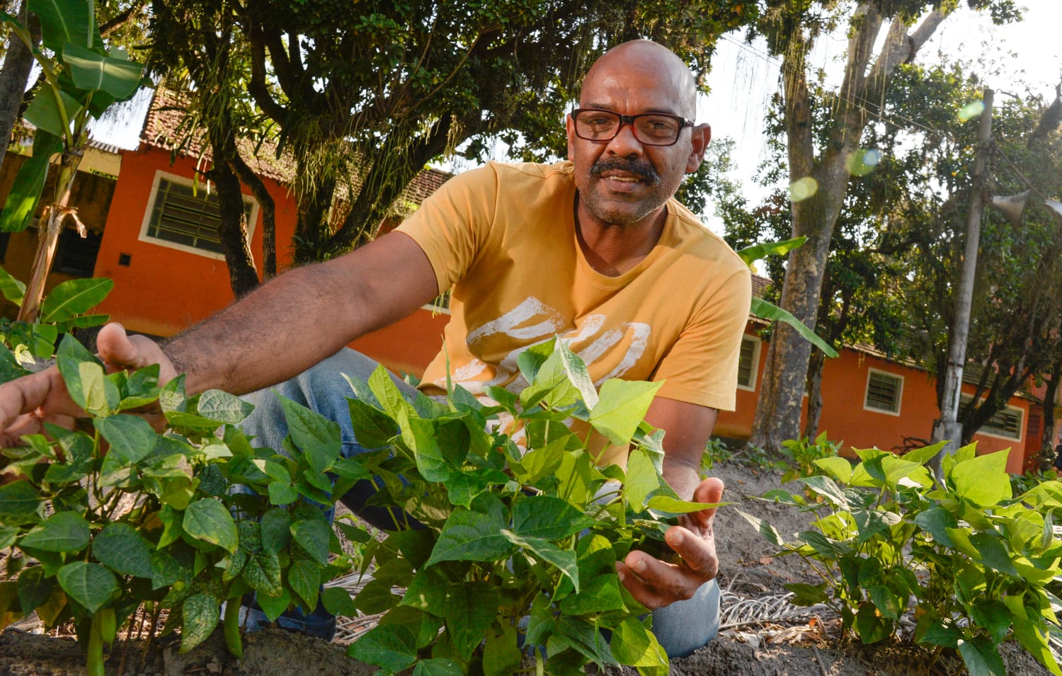 Assistência Social inaugura projeto hortas acolhedoras em 4 unidades de reinserção social
