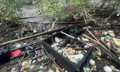 Mais de 100 toneladas de lixo são retiradas dos manguezais em Gramacho