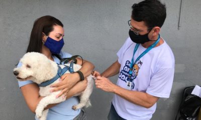 Animal é vacinado (Foto: Prefeitura do Rio/ Divulgação)